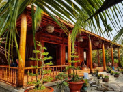 Mãn nhãn ngôi nhà độc nhất vô nhị miền Tây được làm từ 4.000 cây dừa lão