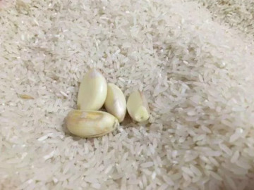 Mẹ chồng nhét cả nắm tỏi vào thùng gạo bị con dâu chê lẩm cẩm, tìm hiểu kỹ nàng dâu phải xấu hổ