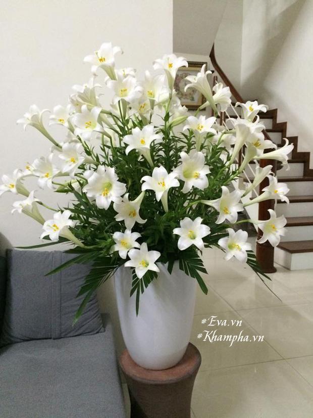 Hướng dẫn cách cắm hoa loa kèn đẹp của mẹ trẻ ở Hà Thành