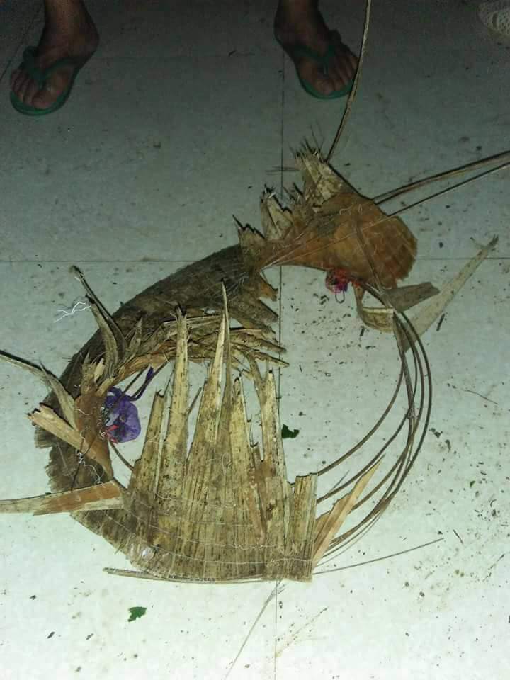 me bi set danh tu vong, hai con tho om quan tai khoc can nuoc mat cho bo ve - 2