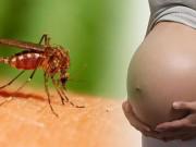 Hè đến, mẹ bầu khổ sở vì bị muỗi cắn, làm thế nào để phòng tránh?