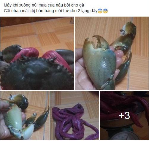 hao huc mua cua ve nau chao, me bim sua khoc rong vi day buoc nang ngang cua - 1