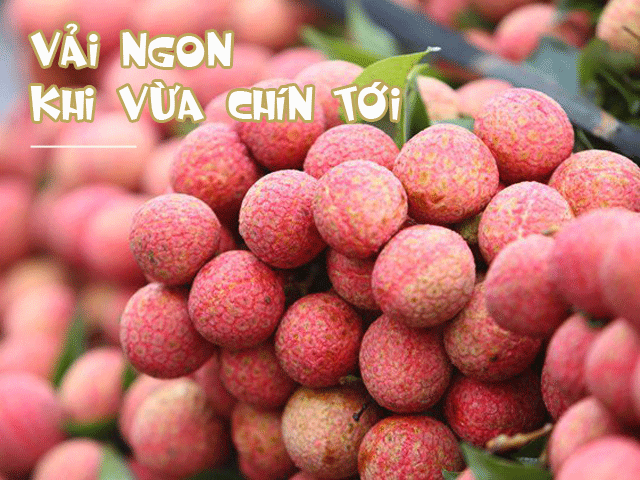 Mẹo chọn vải ngọt lịm tim, không hề bị sâu đầu chưa chắc chị em đã biết