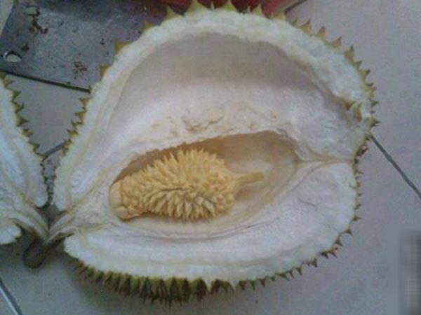 man “vat lon” cua trai tre chung to bo sau rieng la thu thach kho nhat nhi thien ha - 4