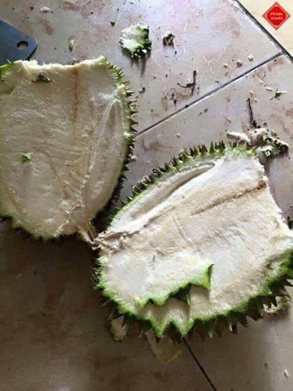 man “vat lon” cua trai tre chung to bo sau rieng la thu thach kho nhat nhi thien ha - 5
