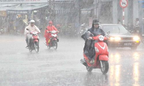 tin tuc 24h: hoang hon phat hien be so sinh nghi bi chon song, con nguyen day ron - 2