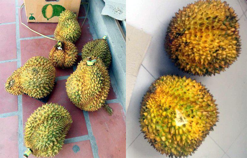 tin tuc 24h: co dau deo vang triu co trong hon le voi dai gia xau trai gay tranh cai - 3