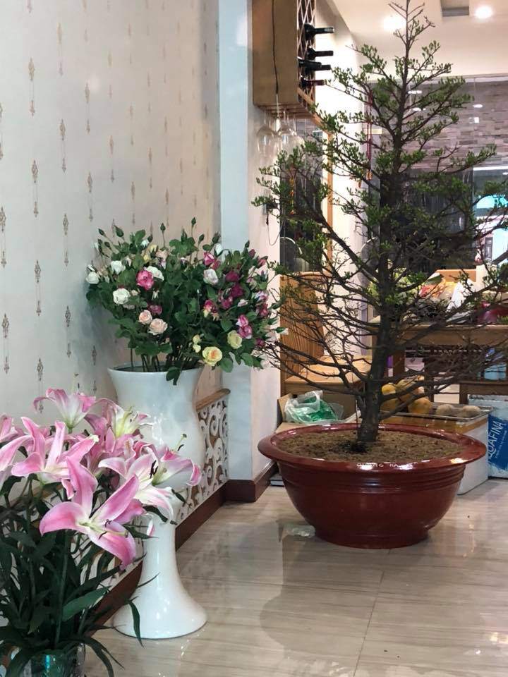 he lo hinh anh moi nhat ve can biet thu thu 13 hoanh trang gia 16 ty cua quang ha - 8