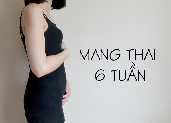 thai nhi 6 tuan tuoi: mui, mieng va tai bat dau hinh thanh - 2
