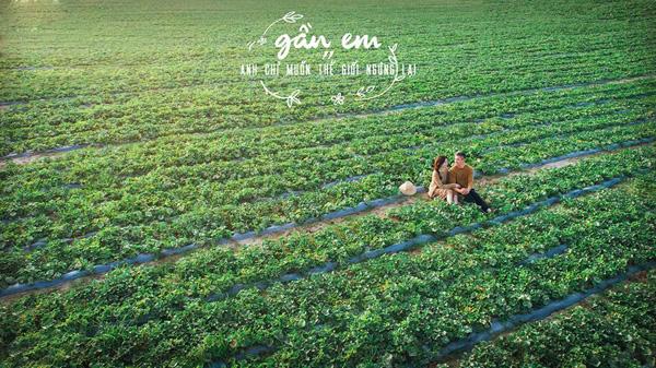 tan gai theo kieu "ngoi moc re", chang viet kieu uc cuoc duoc vo chi sau 2 tuan gap mat - 6