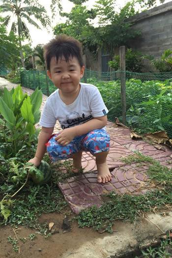 phat them khu vuon du loai cay trai sai triu qua cua dien vien le phuong - 12