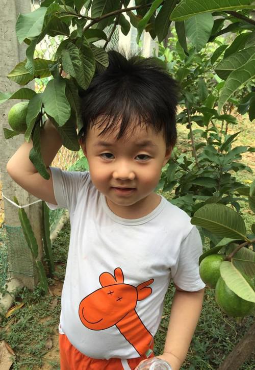 phat them khu vuon du loai cay trai sai triu qua cua dien vien le phuong - 14