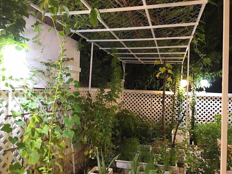 to am cua vo chong cong vinh - thuy tien co hanh phuc nhu nhung gi ho dang the hien? - 15