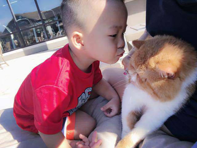 dan nhoc ty khuay dao mxh nua dau nam 2018 vi qua dang yeu, ai ai cung phai "tha tim" - 2