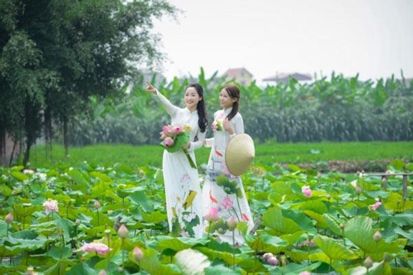 Hoa Sen: Hoa sen là một trong những loài hoa đẹp và đặc biệt của Việt Nam. Với những cánh sen trắng tinh khôi, hoa sen trở thành nguồn cảm hứng cho nhiều nghệ sĩ, nhà văn, nhà thơ. Bức tranh vẽ hoa sen sẽ cho bạn cảm giác bình yên và thanh thản.