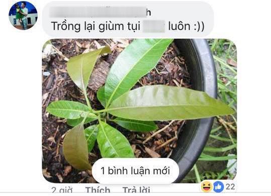 nghe mxh la "con dao hai luoi", chang trai dang anh xoai xem co got duoc khong va cai ket - 5