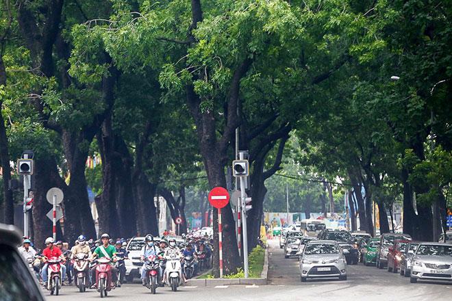 Hình ảnh gây ngạc nhiên trên con đường từng được xem đẹp nhất Sài Gòn