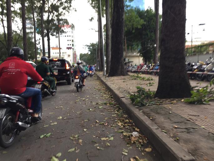 loc xoay nhieu noi o sai gon, cay xanh nga rap, 3 nguoi trong thuong - 15