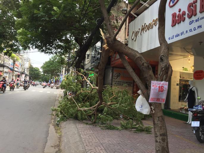 loc xoay nhieu noi o sai gon, cay xanh nga rap, 3 nguoi trong thuong - 16