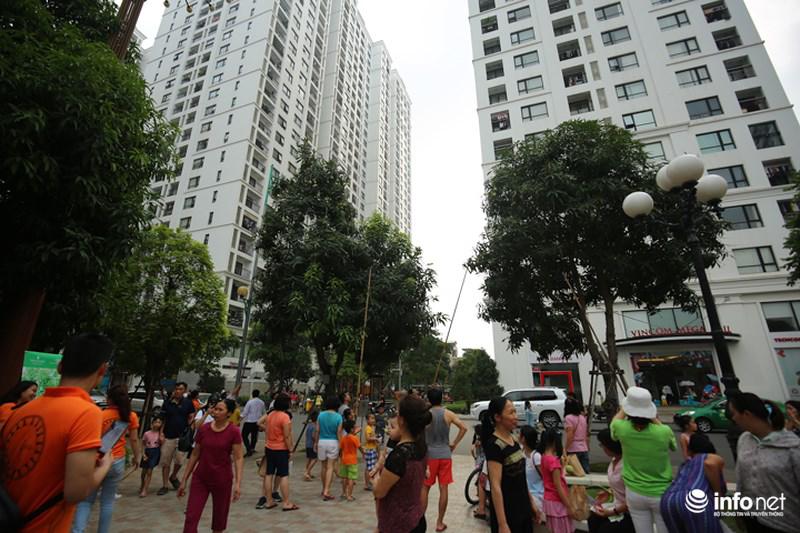 'ho" nhau di choc xoai, cu dan ha noi vui nhu tet - 2