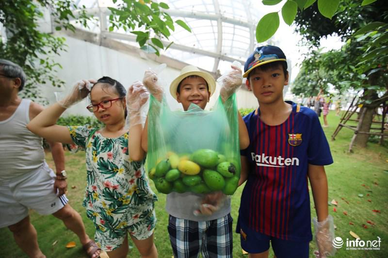 'ho" nhau di choc xoai, cu dan ha noi vui nhu tet - 7