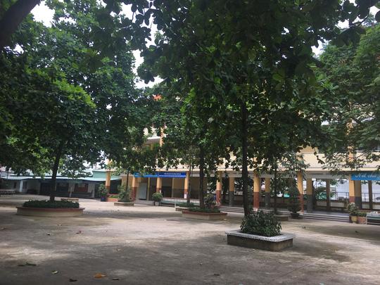 tp hcm: bat thay giao chu nhiem dam o nhieu nu sinh tieu hoc - 1