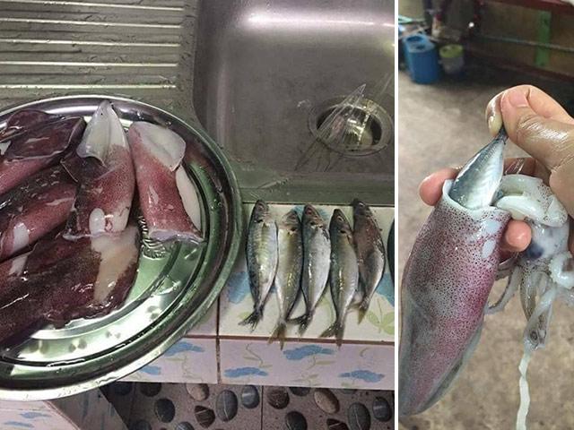Mua 6 con mực về mổ được thêm 6 con cá, cô gái hoang mang không biết lời hay lỗ