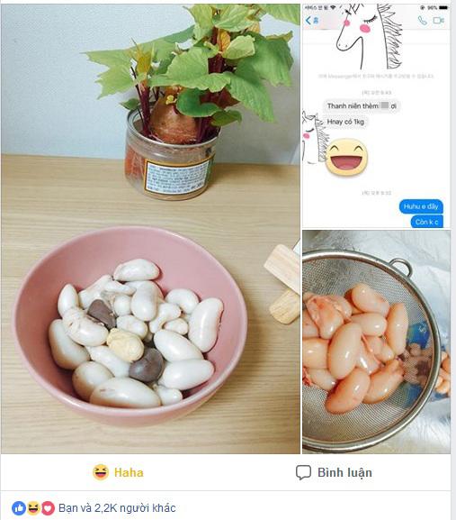 co gai “thu toi” nghien an "cho nhay cam" cua ga, dan mang ke bat cuoi, nguoi keu "dong canh" - 2
