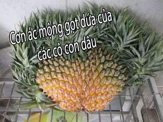 Dân mạng khoe quả độc nhà trồng, đúng là đi khắp thế gian không đâu bằng trái cây Việt Nam