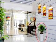 7 mẹo phong thủy giúp chiêu tài, nhà giàu không bao giờ nói cho bạn 7 mẹo phong thủy giúp chiêu tài, nhà giàu không bao giờ nói cho bạn