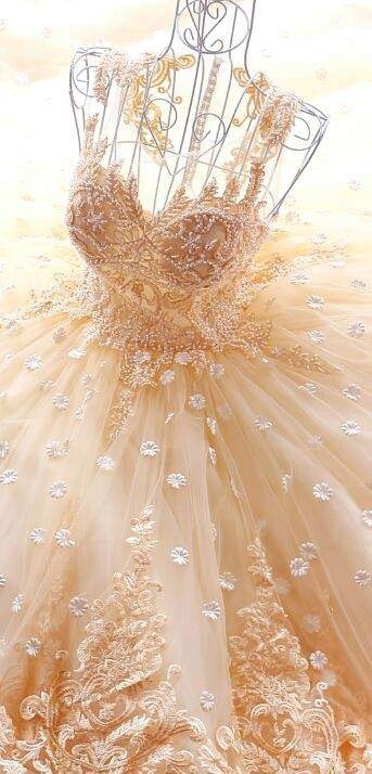 Tiết lộ váy cưới của Hoa hậu Đại dương Đặng Thu Thảo  Báo Dân trí