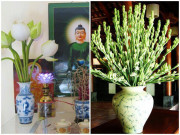 Đặt 4 loại hoa này lên bàn thờ, tài lộc chiếu rọi 3 đời, tiền tự chui vào túi Đặt 4 loại hoa này lên bàn thờ, tài lộc chiếu rọi 3 đời, tiền tự chui vào túi