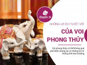 Linh vật voi phong thủy và những tác dụng chưa ai nói với bạn Linh vật voi phong thủy và những tác dụng chưa ai nói với bạn