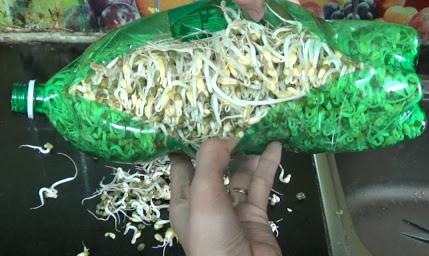 vo bich sua, chai nuoc,... lam gia do an trong mua dich, de lay nhat lam bang khan vai - 1