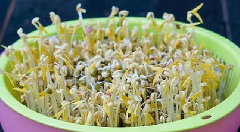 vo bich sua, chai nuoc,... lam gia do an trong mua dich, de lay nhat lam bang khan vai - 2