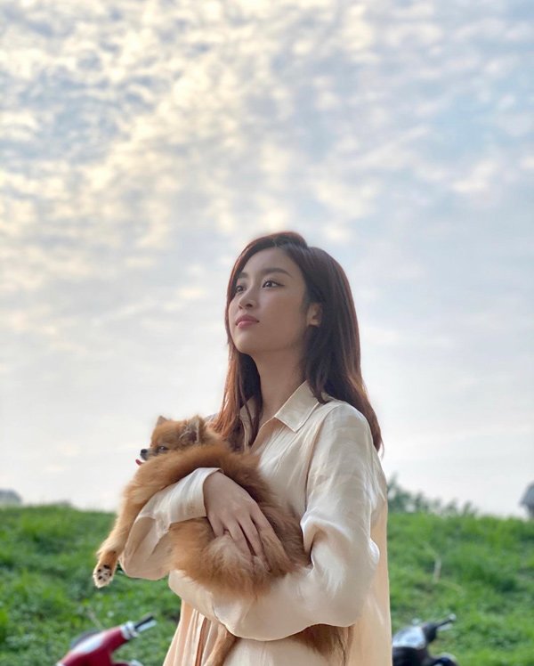 Từng mạnh tay cắt tóc ngắn chỉ còn một mẩu, giờ Đỗ Mỹ Linh đã muốn nuôi ...