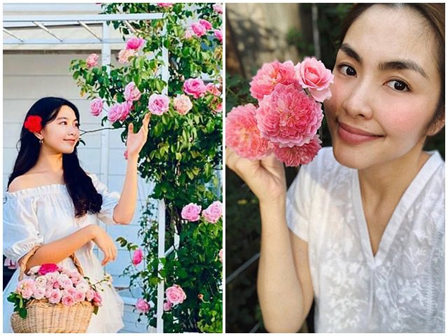 Những vườn hồng trăm triệu trong nhà sao: Hà Tăng, Quyền Linh, Khánh Thi... ai đỉnh hơn?