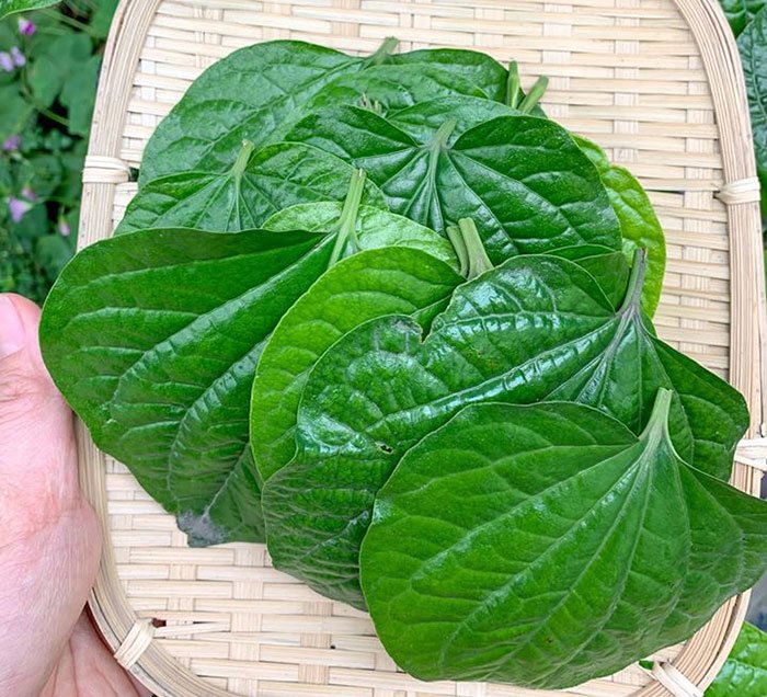 nghi le, lam ngay cha oc nuong thom nuc mui, lam nhieu tuong thua ma ca nha an het sach - 3