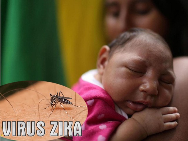 Virus Zika nguy hiểm thế nào, triệu chứng và cách thức lây truyền ra sao?