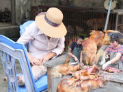 Tiểu thương bán chó mèo trước đề xuất cấm giết, ăn thịt: “Yêu chó, nhưng vẫn mổ bán hàng ngày”