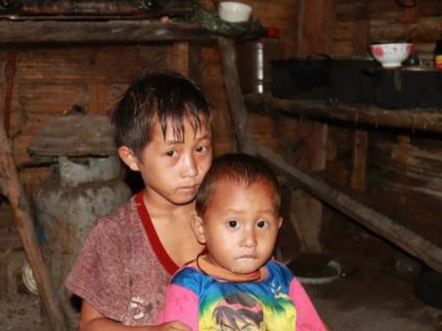 Thực hư chuyện 4 em nhỏ ăn cơm nguội với ve sầu xôn xao MXH