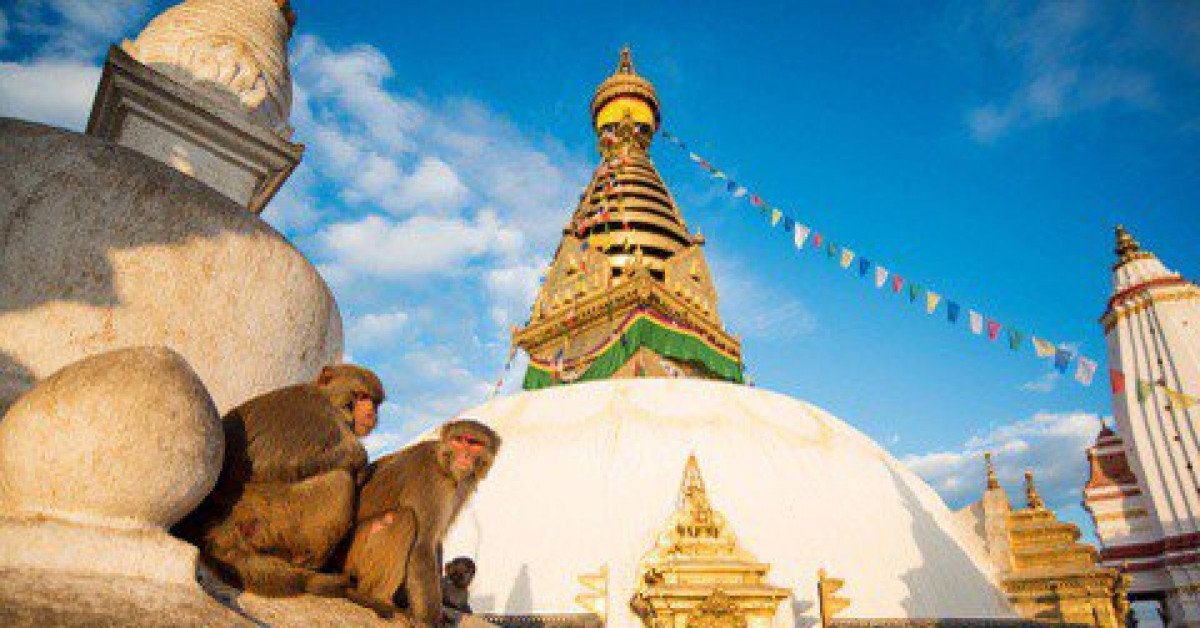 Những con khỉ canh gác ngôi đền linh thiêng bậc nhất thế giới