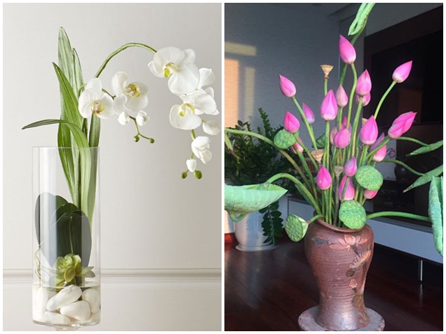 7 loại hoa đẹp hợp để phòng khách, không sớm thì muộn cũng giàu sang
