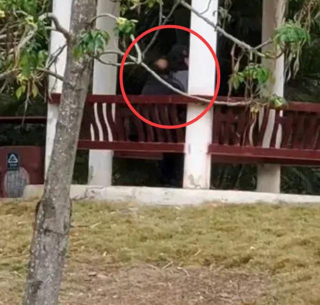 Pasangan <a href='https://medan.tribunnews.com/tag/lansia' title='lansia'>lansia</a> itu bertindak tidak senonoh di taman, CDM mengutuk keras - 3