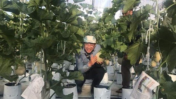 Nhà Celeb: Nghệ sĩ Trung Dân chuẩn người Nam bộ, tự trồng rau trên sân thượng 30m2 - 3