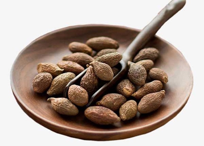 Hạt ươi có tác dụng gì? - 1