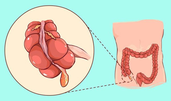 12 điều kỳ lạ về cơ thể con người mà các nhà khoa học không thể giải thích nổi - 5