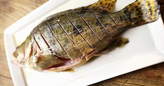 2 cách làm cá mú hấp xì dầu ngon đơn giản ai ăn cũng thích - 3