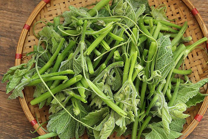 Rau bí không chỉ xào hay luộc, đem làm nộm ngon chưa từng thấy