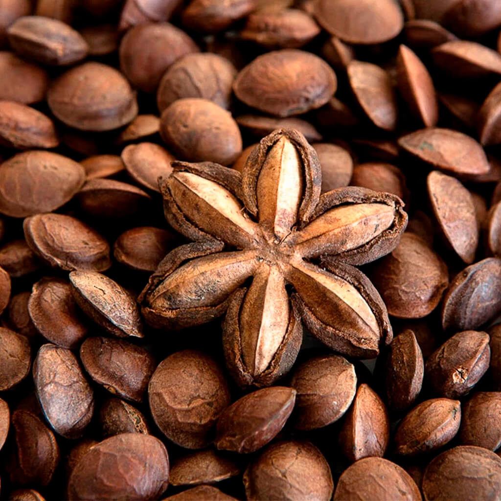 Hạt sachi có tác dụng gì? - 1